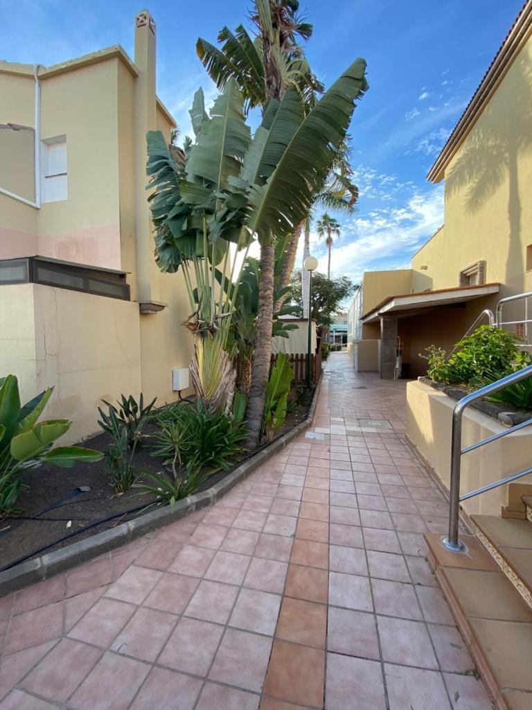 Canarian Green Oasis By Luca Properties Gran Canaria ماسبالوماس المظهر الخارجي الصورة
